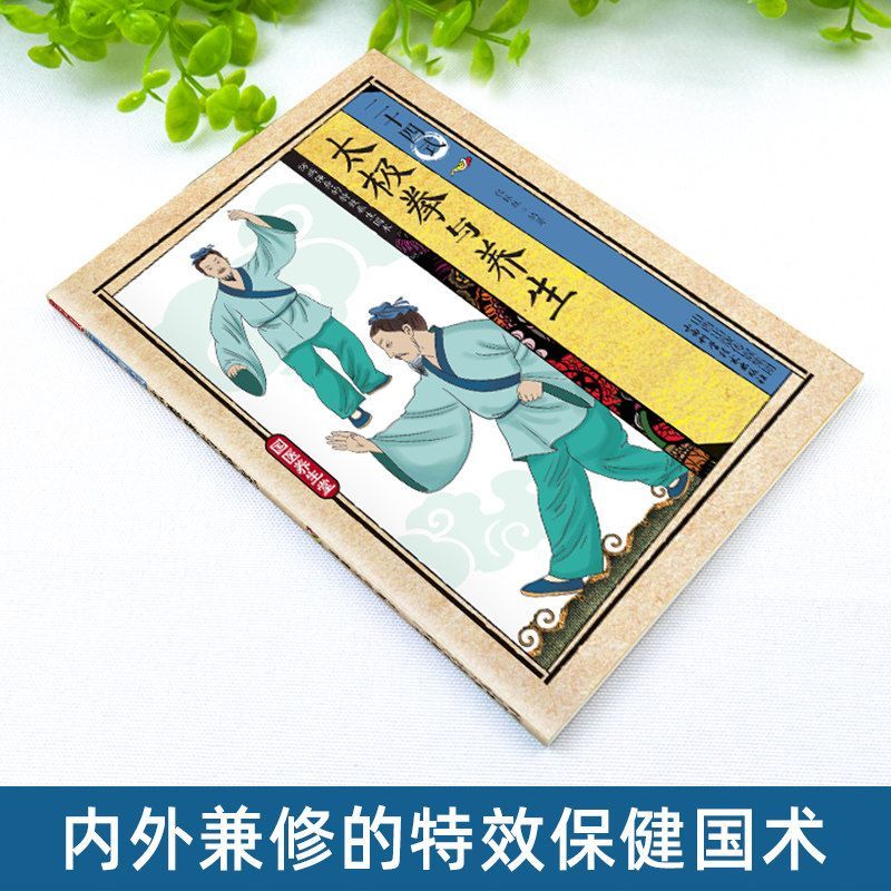 24 Style Tai Chi and Health Ex – Health & Wellness Unit recenzja i cena