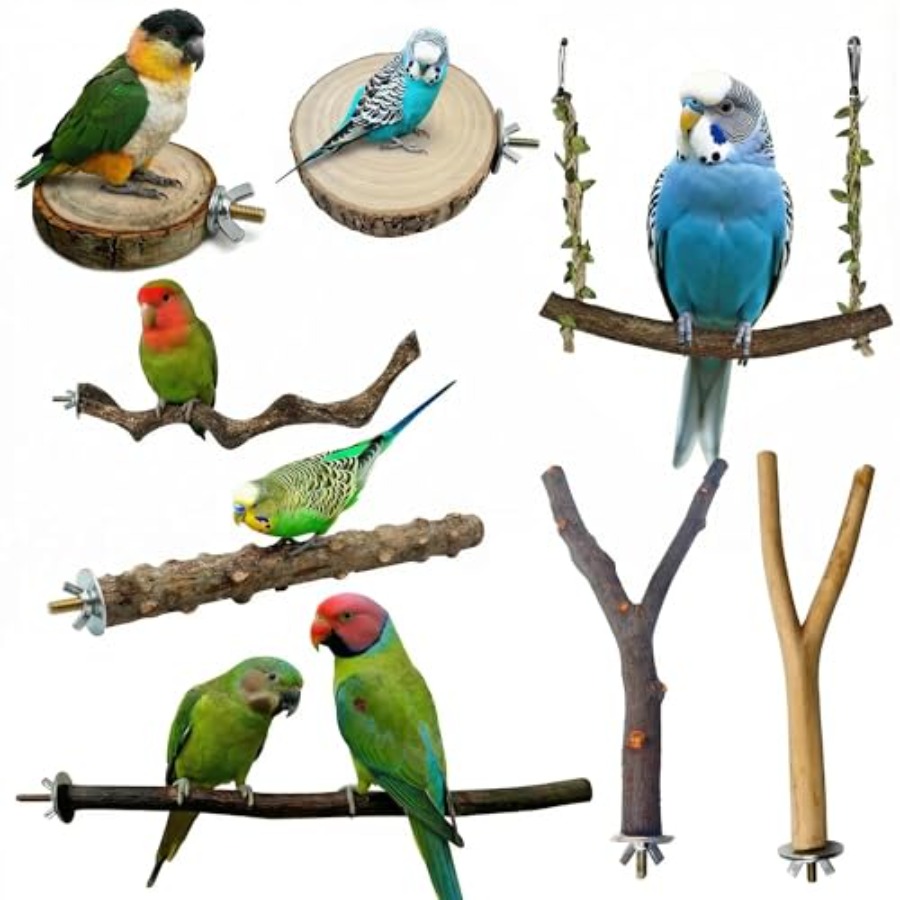 8PCS natural wood bird perches – Health & Wellness Unit recenzja i cena