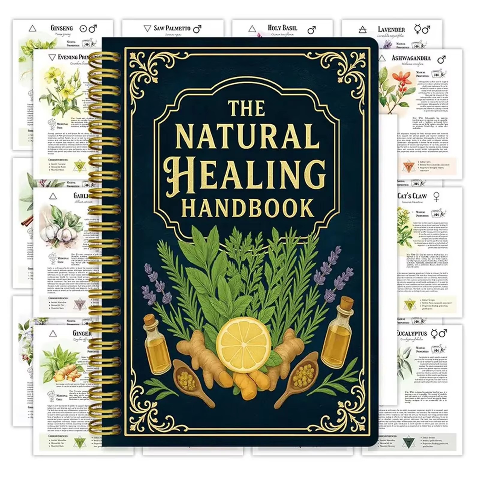 Healing Handbook By Luna Filby – Health & Wellness Unit recenzja i cena