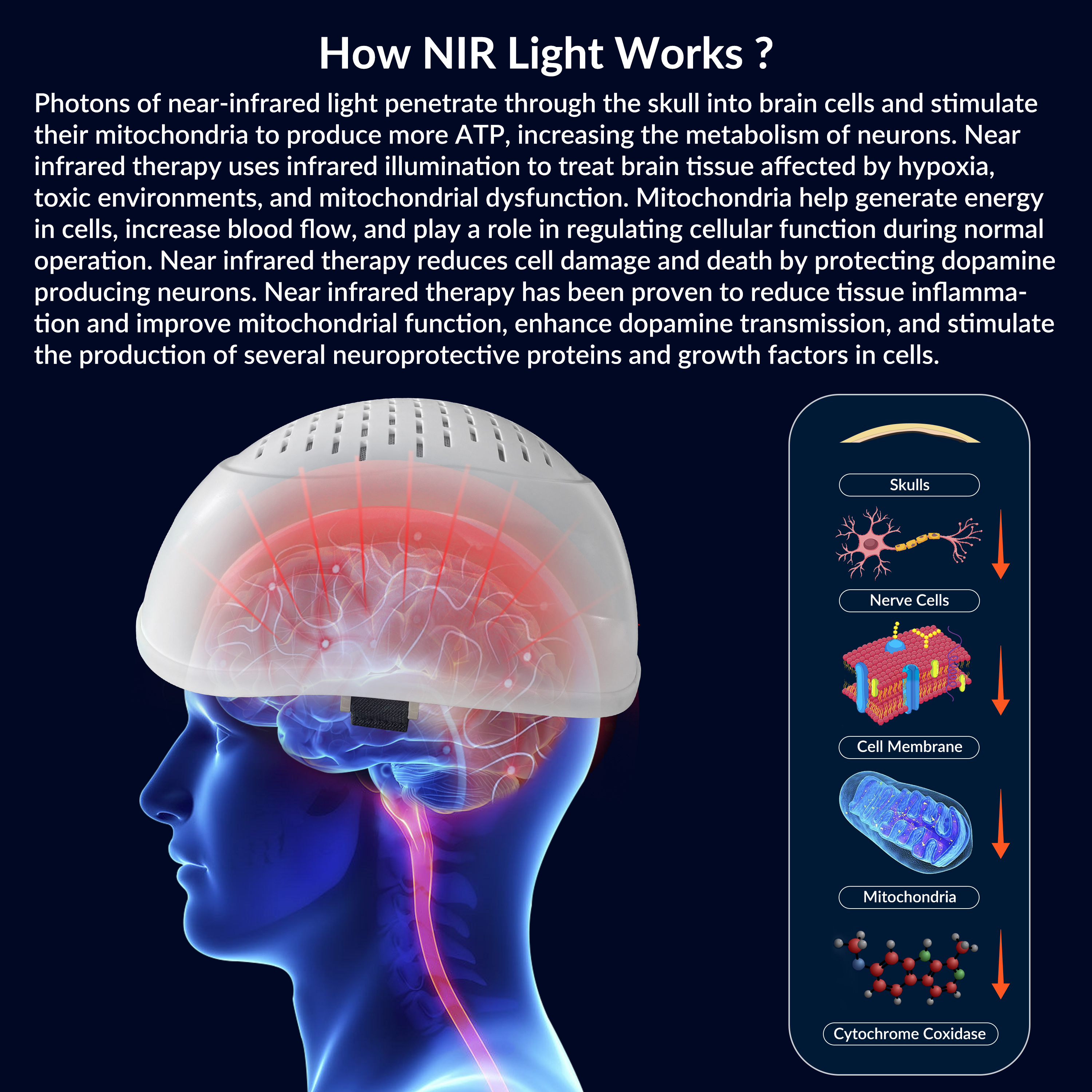 NewNewRed Light Therapy 810nm  – Health Wellness Mental Health recenzja i cena