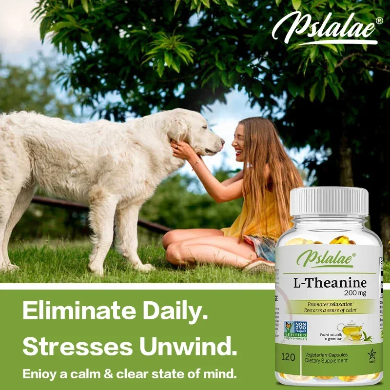 L-Theanine 200 Mg - Relaxation – Health Wellness Mental Health recenzja i cena