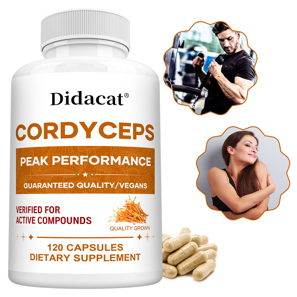 Cordyceps Mushroom Capsules 10 – Health Wellness And recenzja i cena