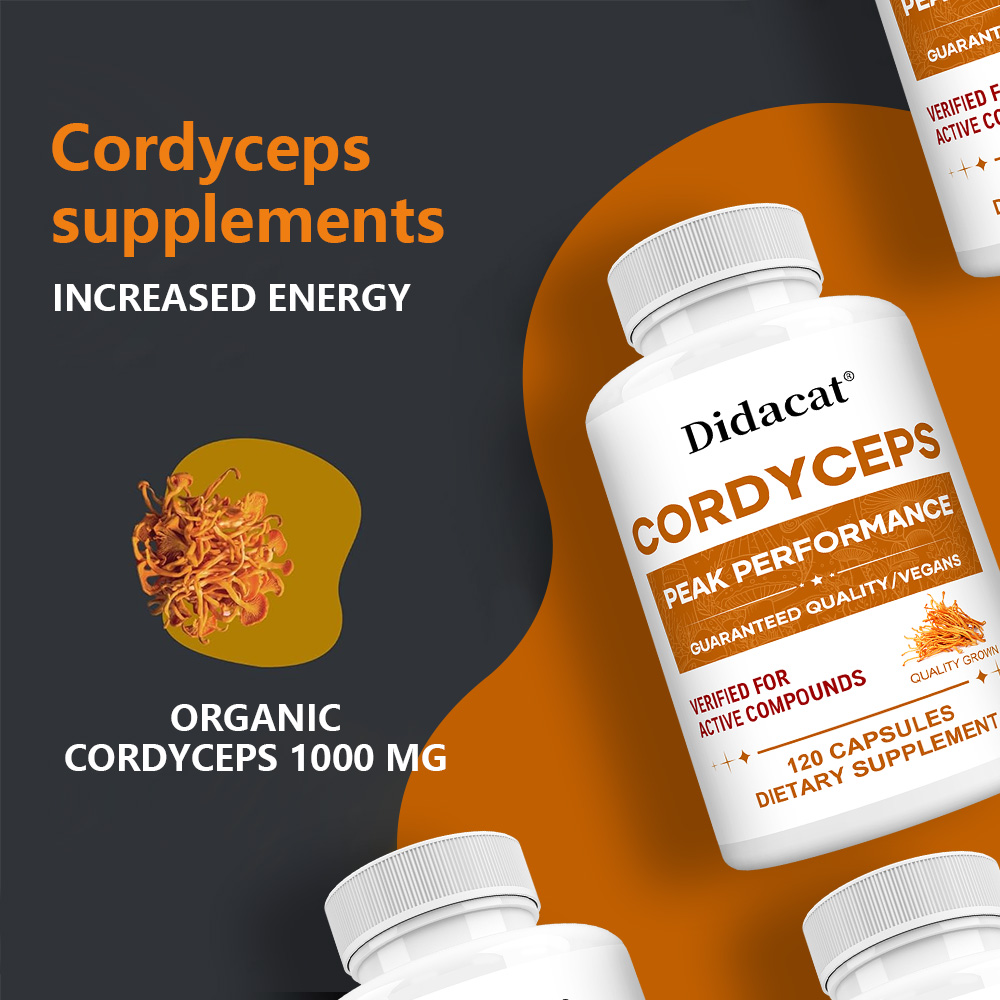 Cordyceps Mushroom Capsules 10 – Health Wellness And recenzja i cena